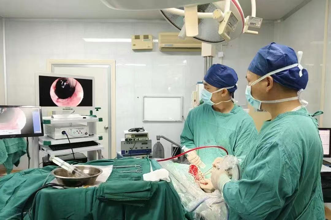 202510141524511899.jpg 202510141524511899.jpg