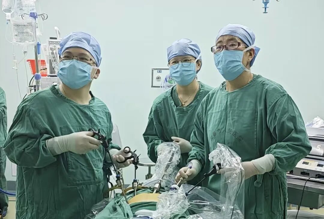 202603051201082464.jpg 202603051201082464.jpg