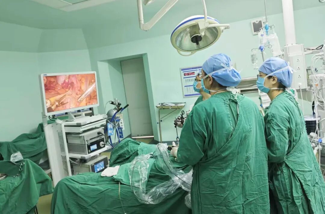 202603051201122596.jpg 202603051201122596.jpg