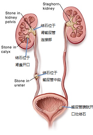 微信图片_20241014165111.png