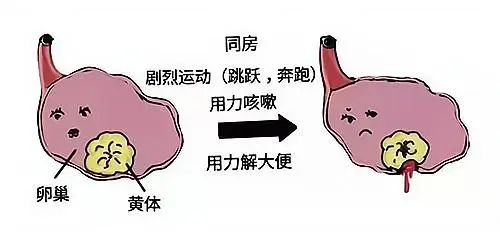 微信图片_20241127163155.jpg