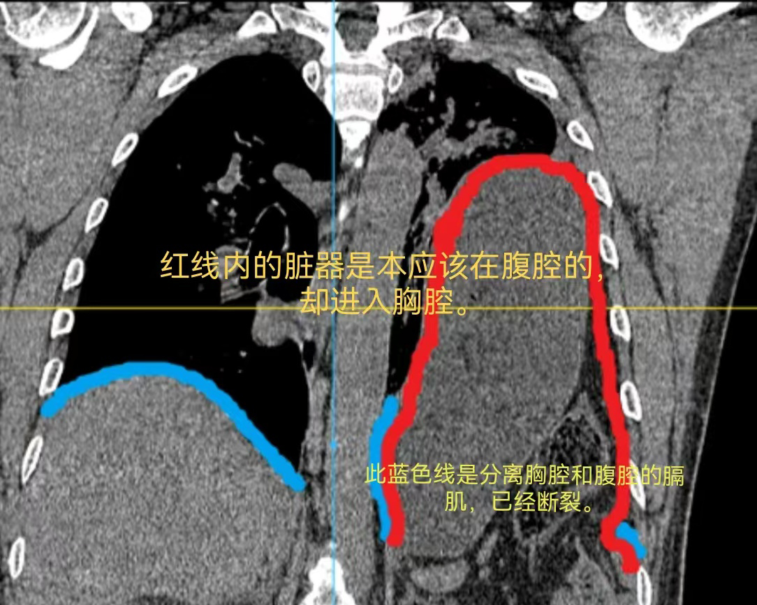 微信图片_20241112120719.jpg