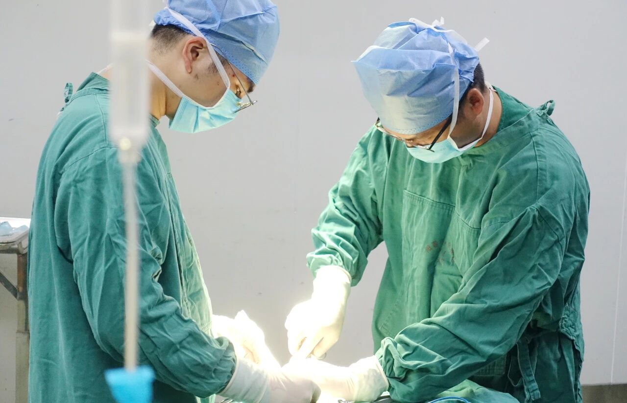 微信图片_2025-11-10_082043_269.jpg 微信图片_2025-11-10_082043_269.jpg