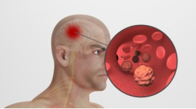 微信图片_2025-11-11_100412_361.png 微信图片_2025-11-11_100412_361.png