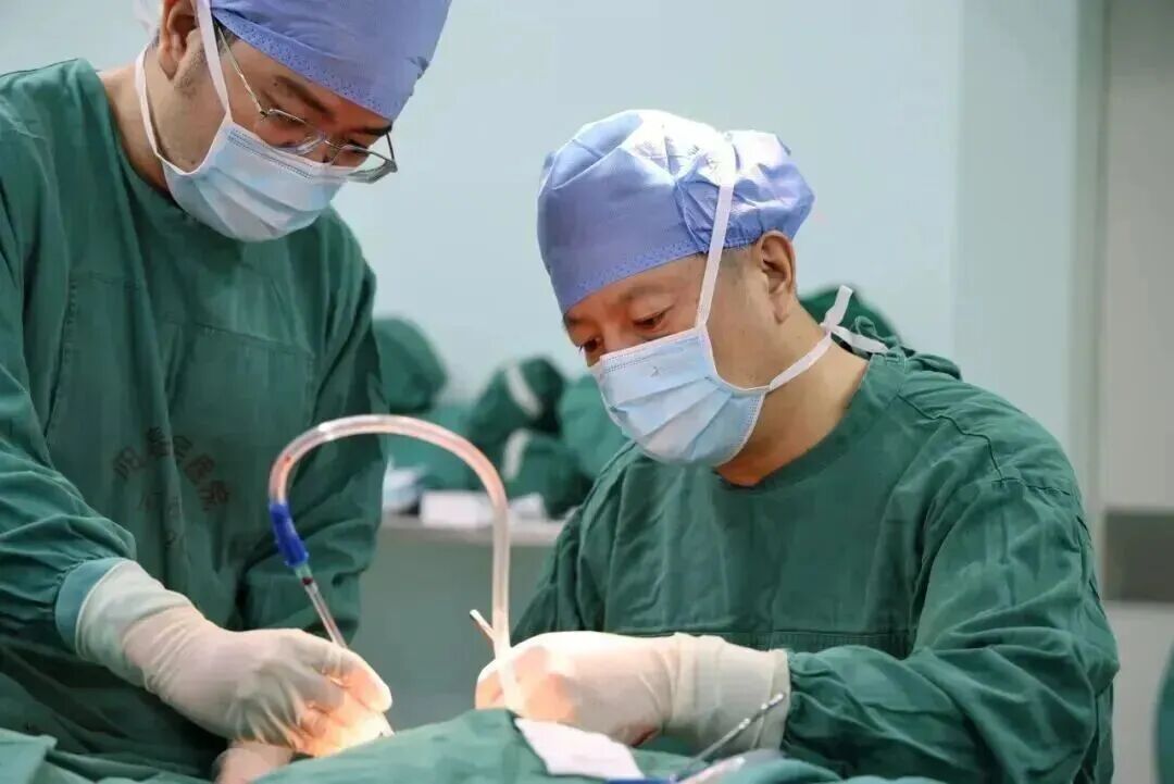 微信图片_2025-12-02_081039_499.jpg 微信图片_2025-12-02_081039_499.jpg