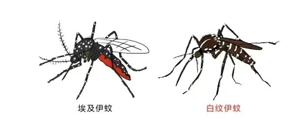 微信图片_20250616152902.jpg 微信图片_20250616152902.jpg