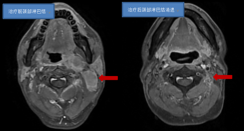 微信图片_2026-05-15_081045_661.png