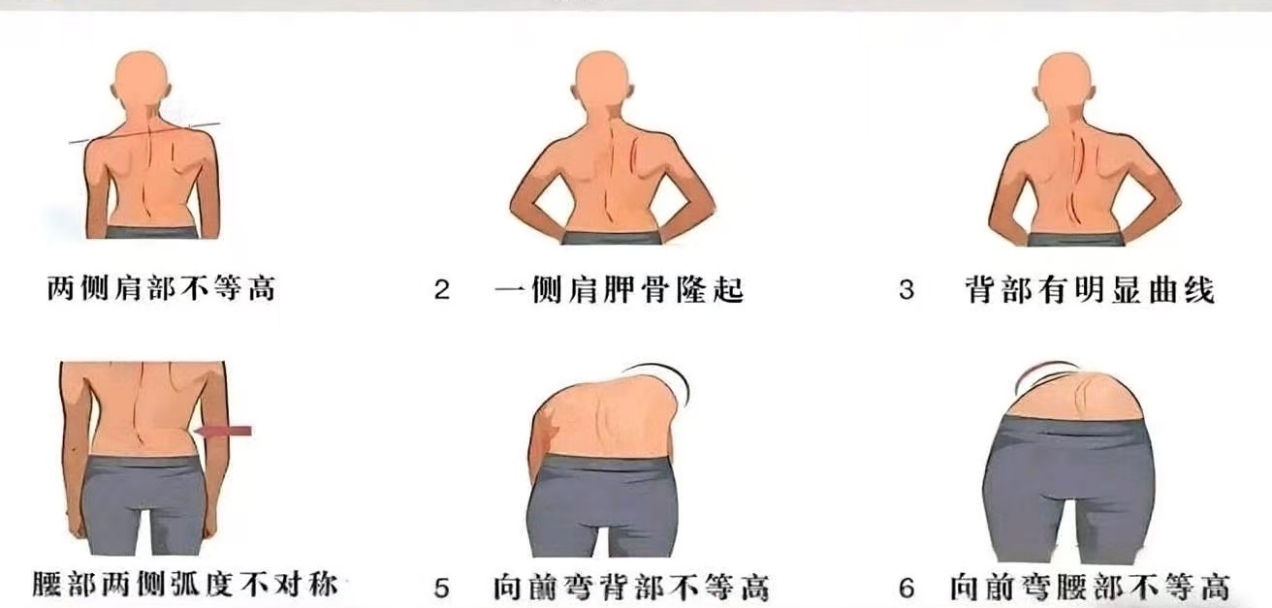 微信图片_2026-07-03_103720_561.png